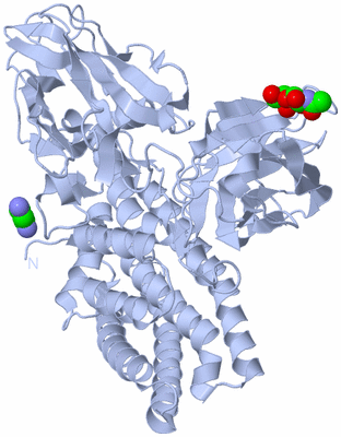 Image Biological Unit 1