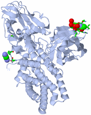 Image Biol. Unit 1 - sites