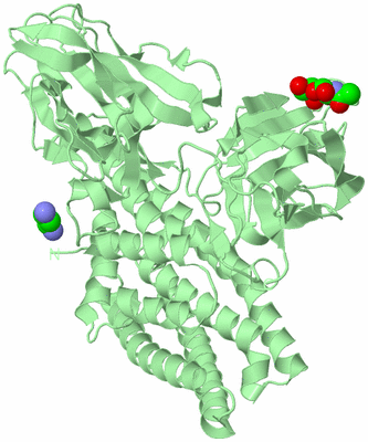 Image Biological Unit 2