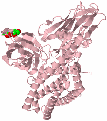 Image Biological Unit 3