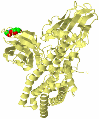 Image Biological Unit 4