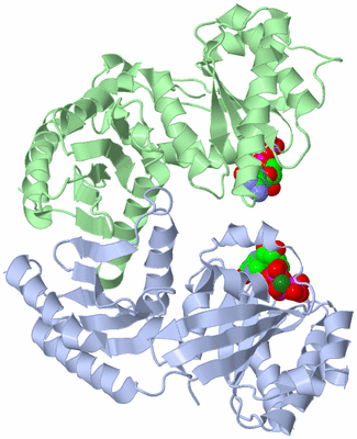 Image Asym./Biol. Unit