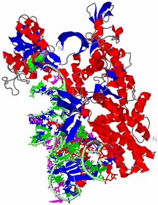 Image Asym./Biol. Unit