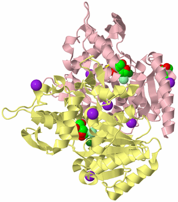 Image Biological Unit 2