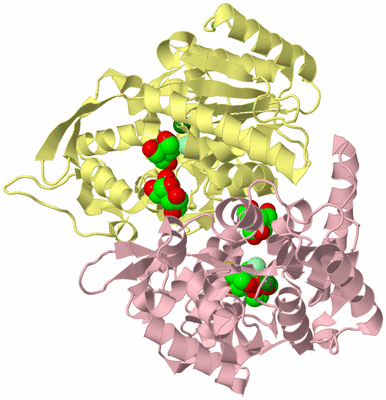 Image Biological Unit 2