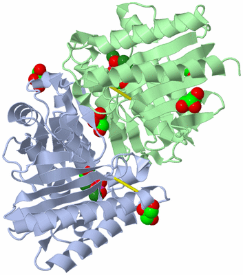 Image Biological Unit 1