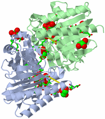 Image Biol. Unit 1 - sites