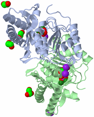 Image Biological Unit 1