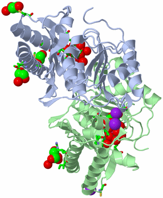 Image Biol. Unit 1 - sites