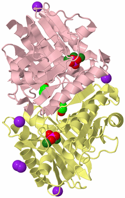 Image Biological Unit 2