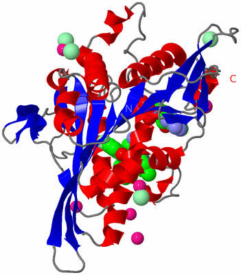 Image Asym./Biol. Unit