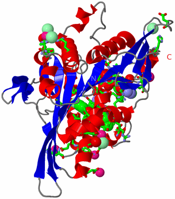 Image Asym./Biol. Unit - sites