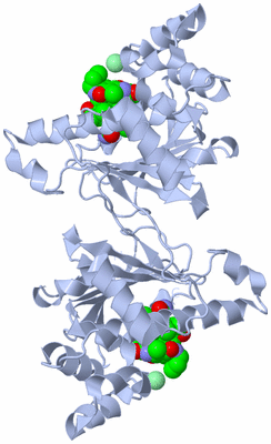 Image Biological Unit 1