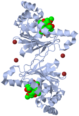 Image Biological Unit 1