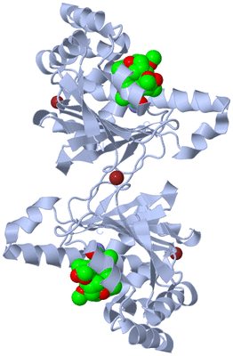 Image Biological Unit 1