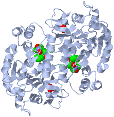 Image Biological Unit 2