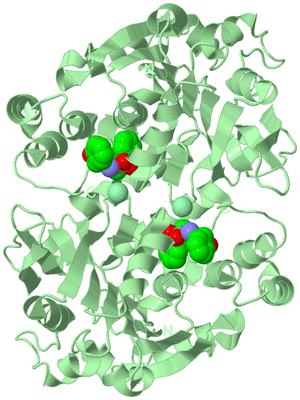 Image Biological Unit 3