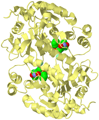 Image Biological Unit 4