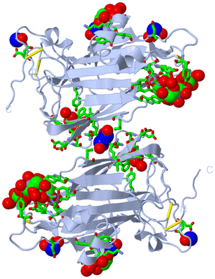 Image Biol. Unit 1 - sites