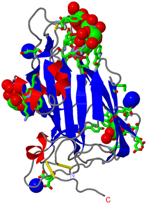 Image Asym. Unit - sites