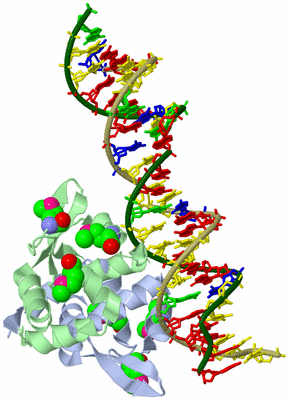 Image Biological Unit 1