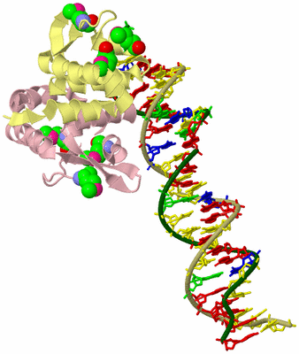 Image Biological Unit 2