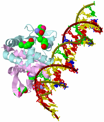 Image Biological Unit 3