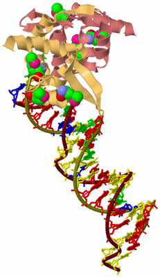 Image Biological Unit 4