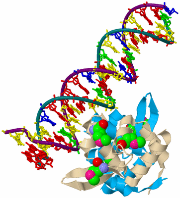 Image Biological Unit 5