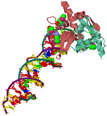 Image Biological Unit 6