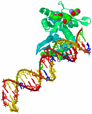 Image Biological Unit 8