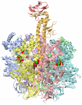 Image Asym./Biol. Unit