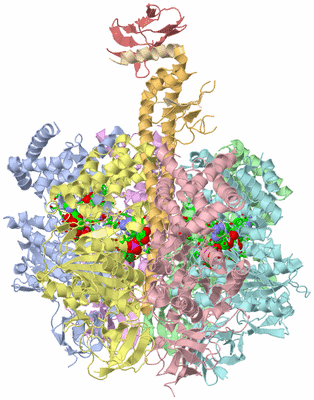 Image Asym./Biol. Unit - sites