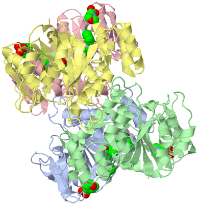 Image Asym./Biol. Unit