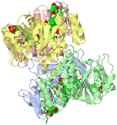 Image Asym./Biol. Unit - sites