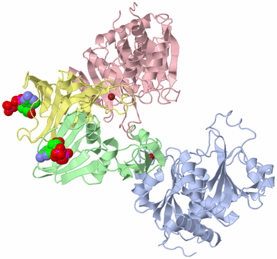 Image Asymmetric Unit