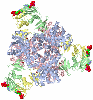 Image Biological Unit 1