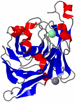 Image Asym./Biol. Unit