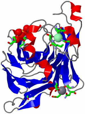 Image Asym./Biol. Unit - sites