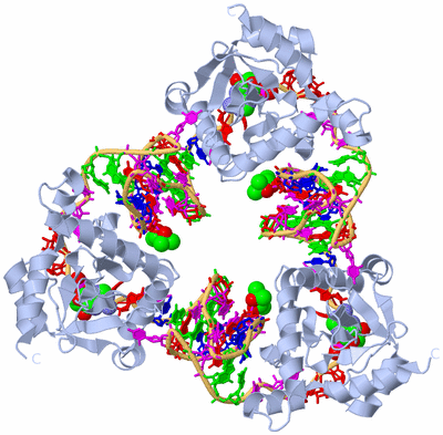 Image Biological Unit 1