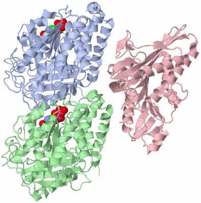 Image Asym./Biol. Unit