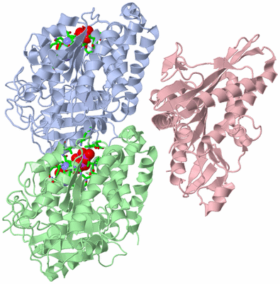 Image Asym./Biol. Unit - sites