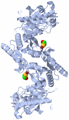 Image Biological Unit 1