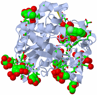 Image Biol. Unit 1 - sites