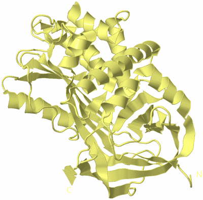 Image Biological Unit 4