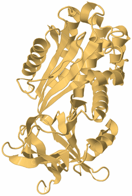 Image Biological Unit 7