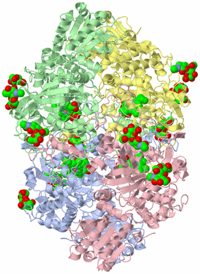 Image Asym./Biol. Unit