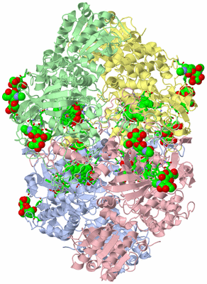 Image Asym./Biol. Unit - sites