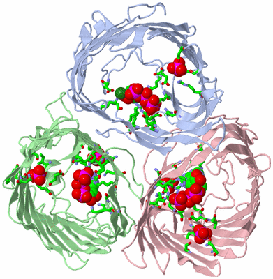 Image Biol. Unit 1 - sites