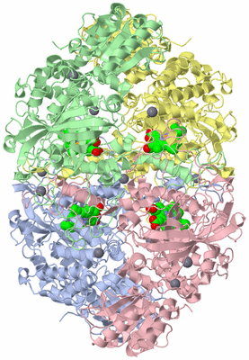 Image Asym./Biol. Unit